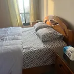 Grand Sunlit Luxury Apartment Maadi